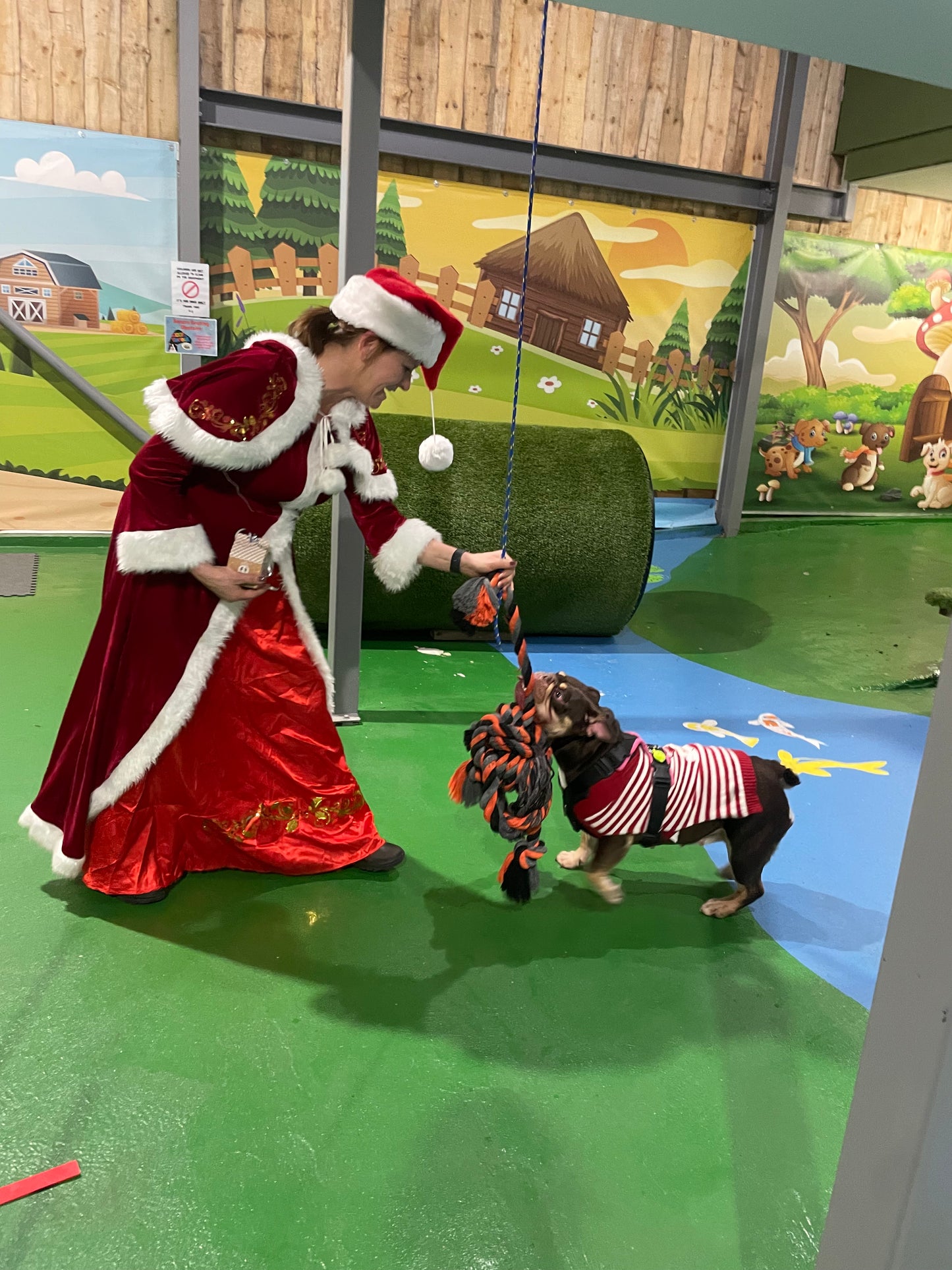 Woof n Tumble Christmas Pawty - Sunday 30th November