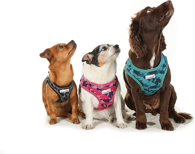 Doodlebone Airmesh Original Harness Black - Size Small