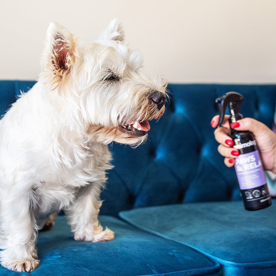 Animology Paws & Relax Aromatherapy Dog Spray