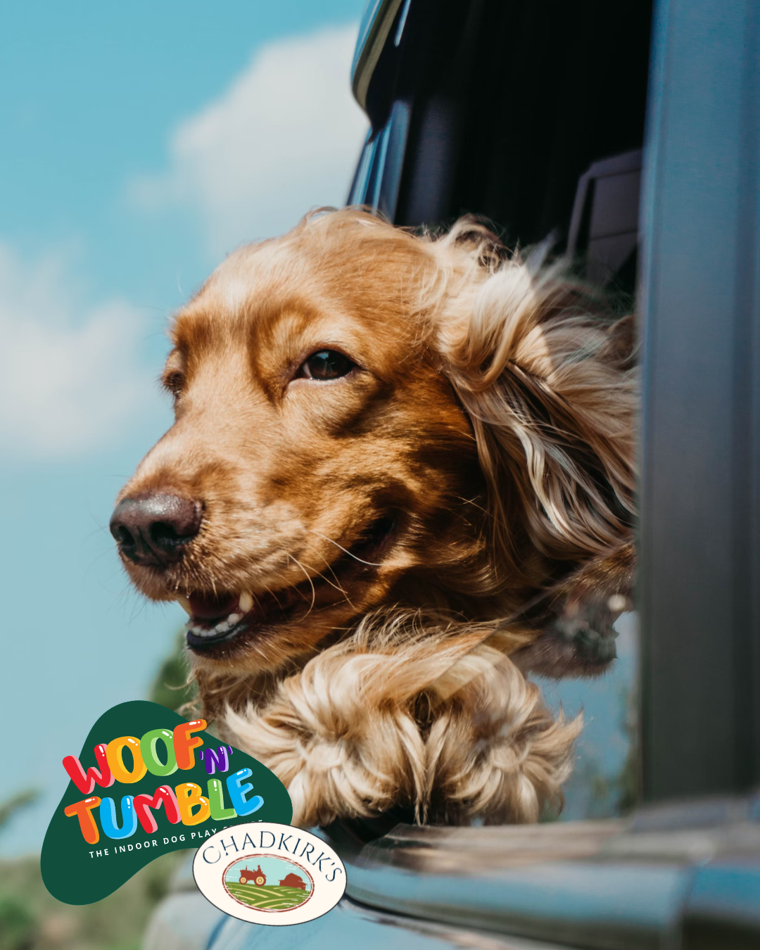 Dog Club Membership