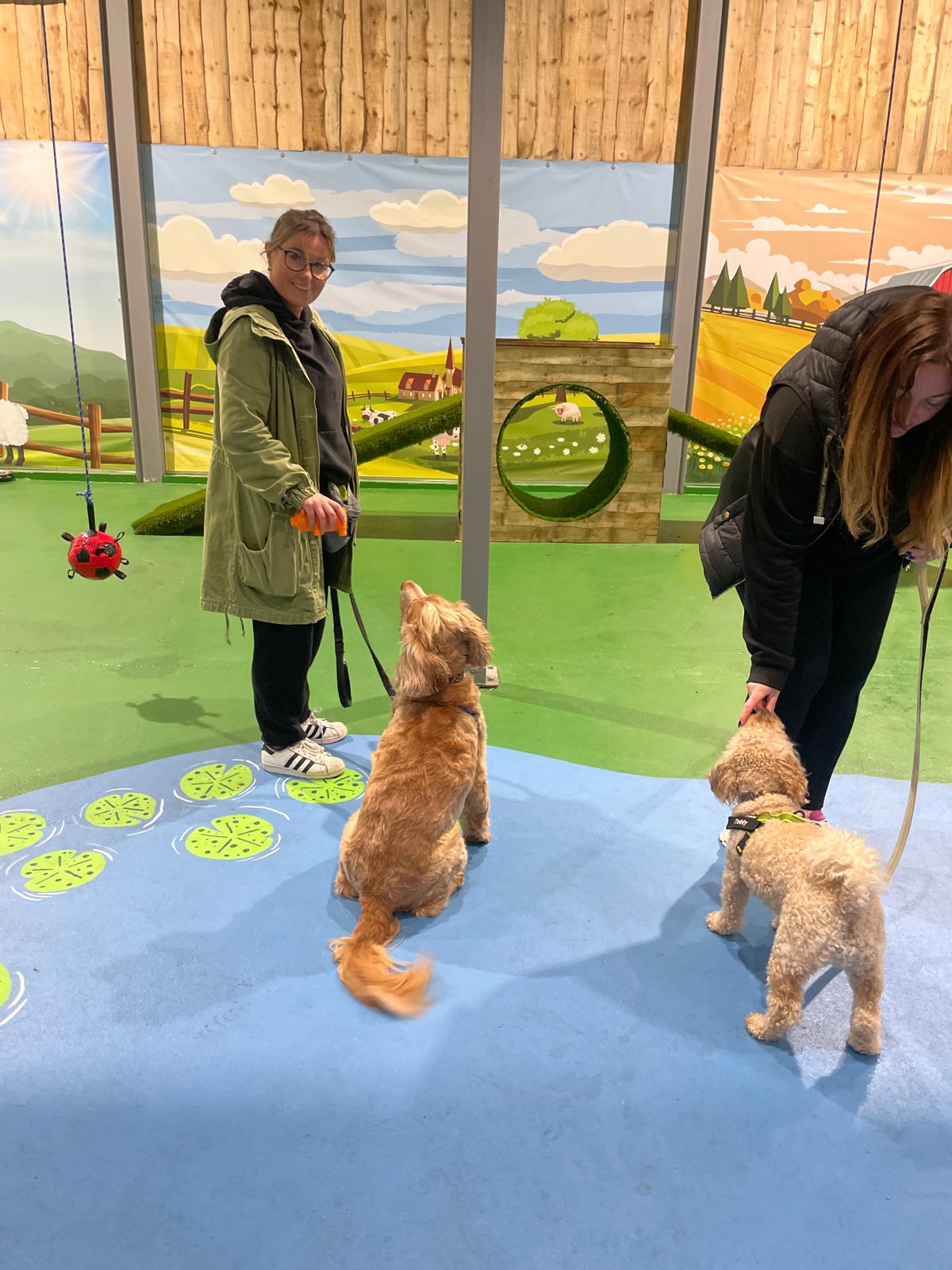 Puppy & Adults - Life Skill Class