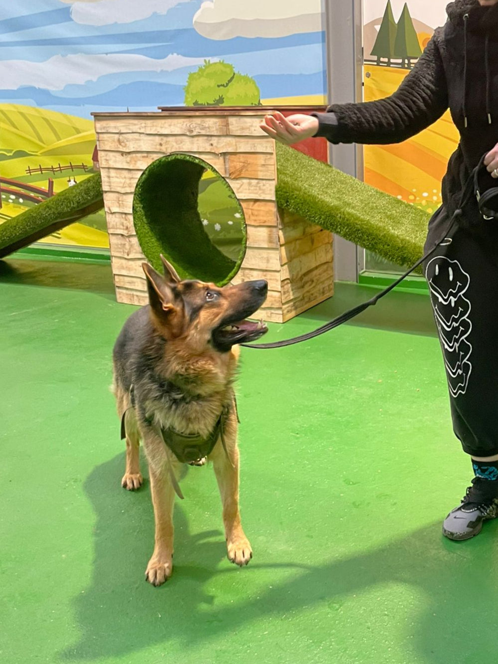 Puppy & Adults - Life Skill Class