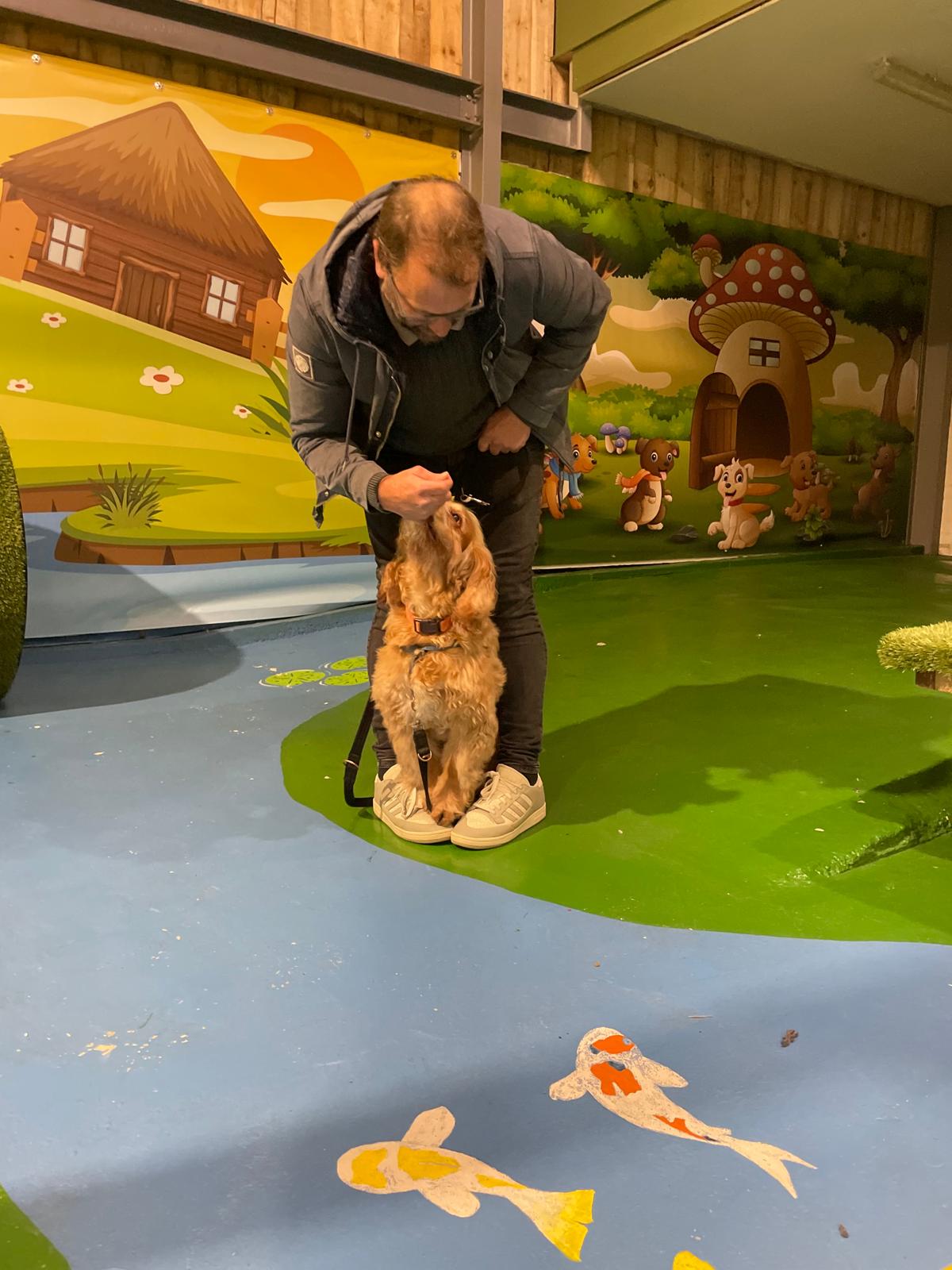 Puppy & Adults - Life Skill Class