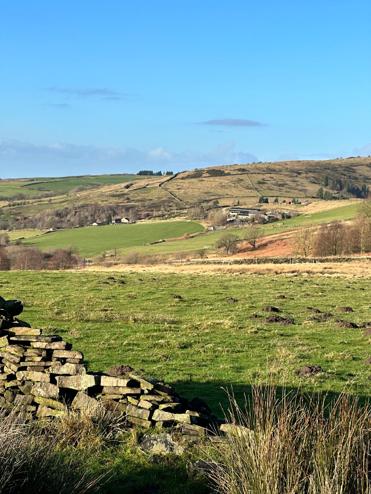 Dog Club Christmas Walk & Party - Sunday 7th December 2025