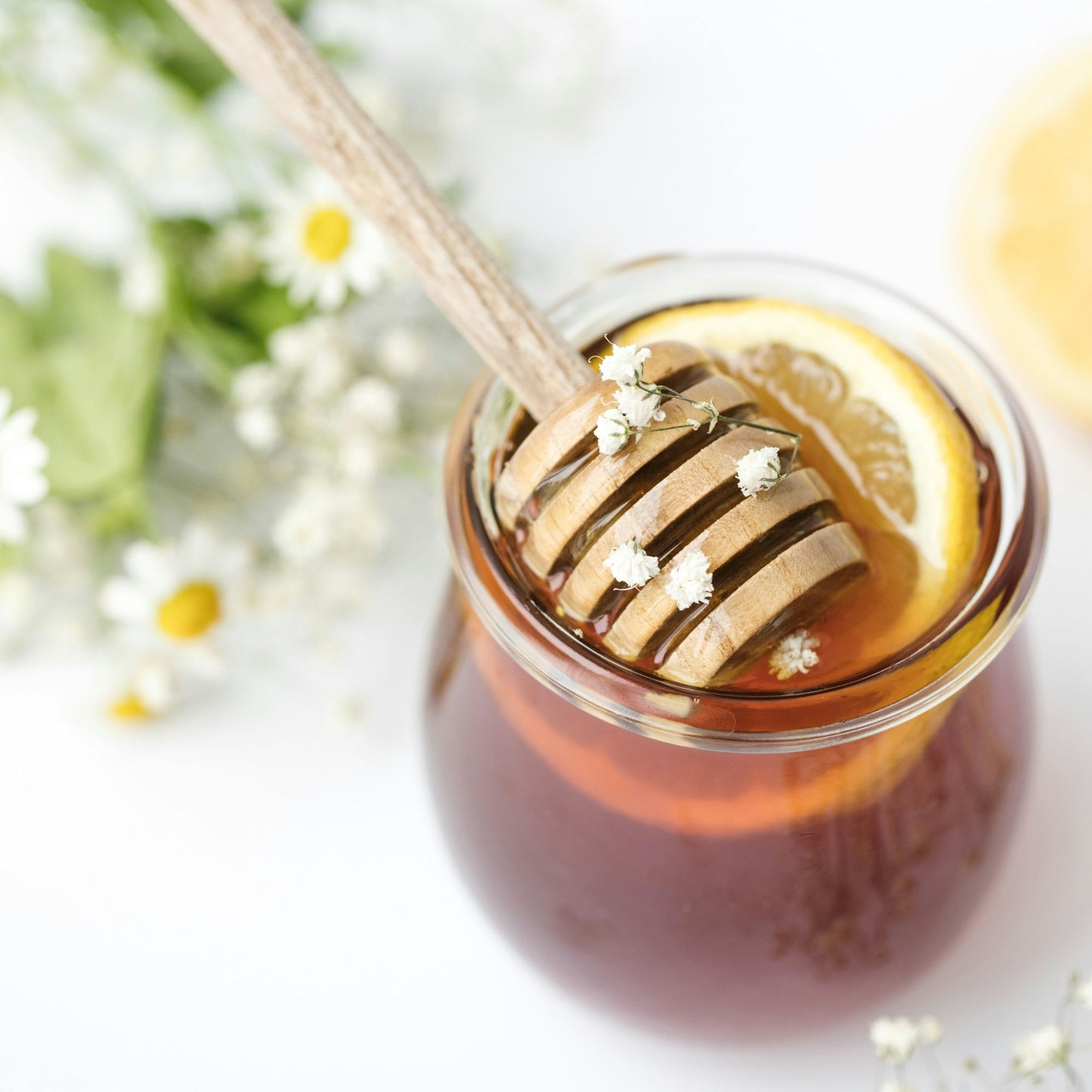 Beco Training Treats Chicken Liver with Parsnip and Honey