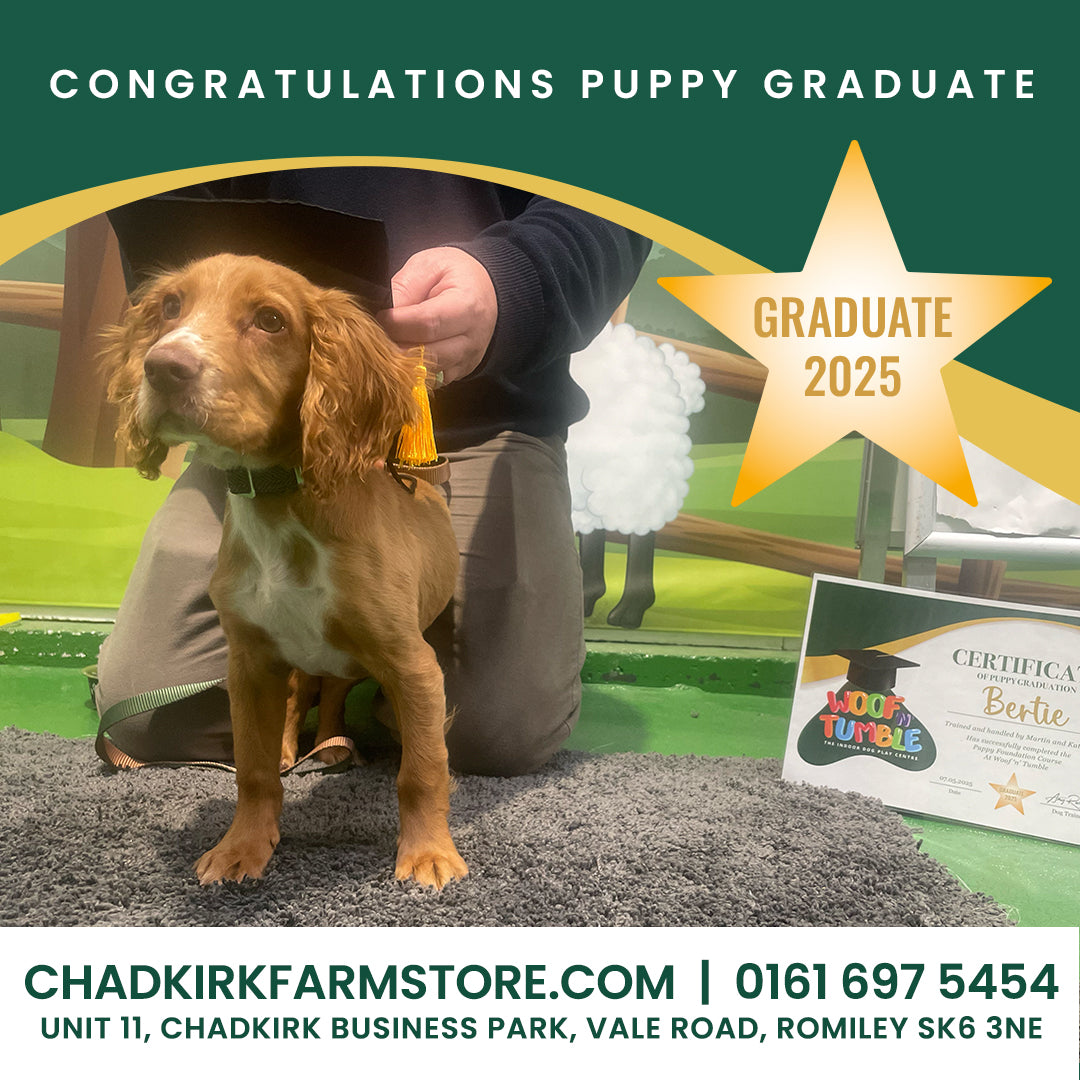 Puppy Training 5 Week Course