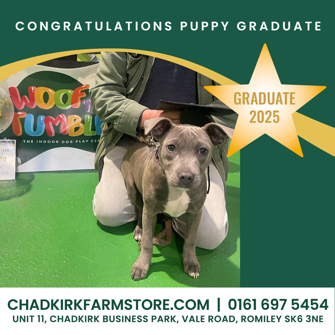 Puppy Training 5 Week Course
