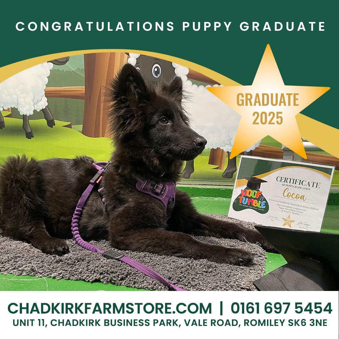 Puppy Training 5 Week Course