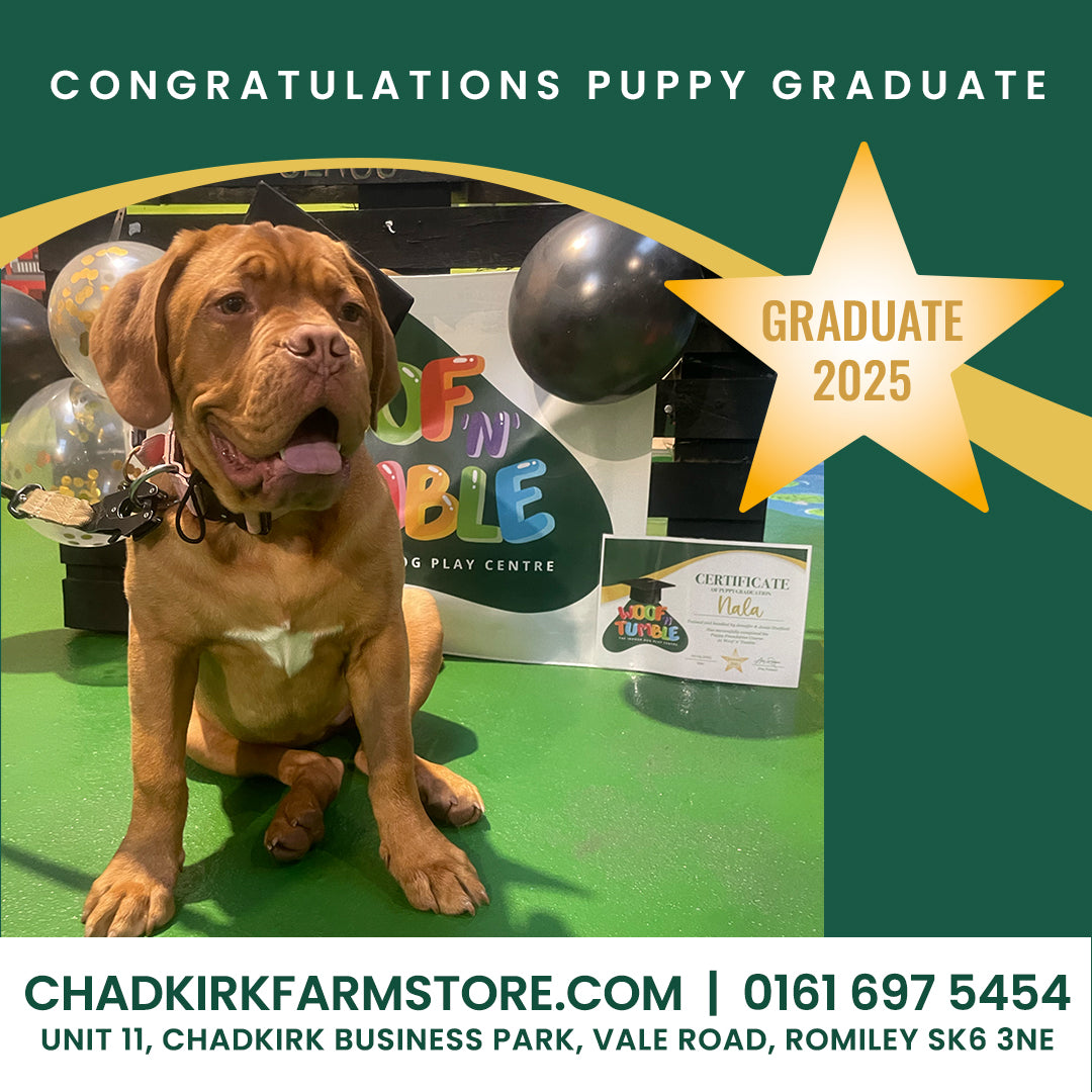 Puppy Training 5 Week Course