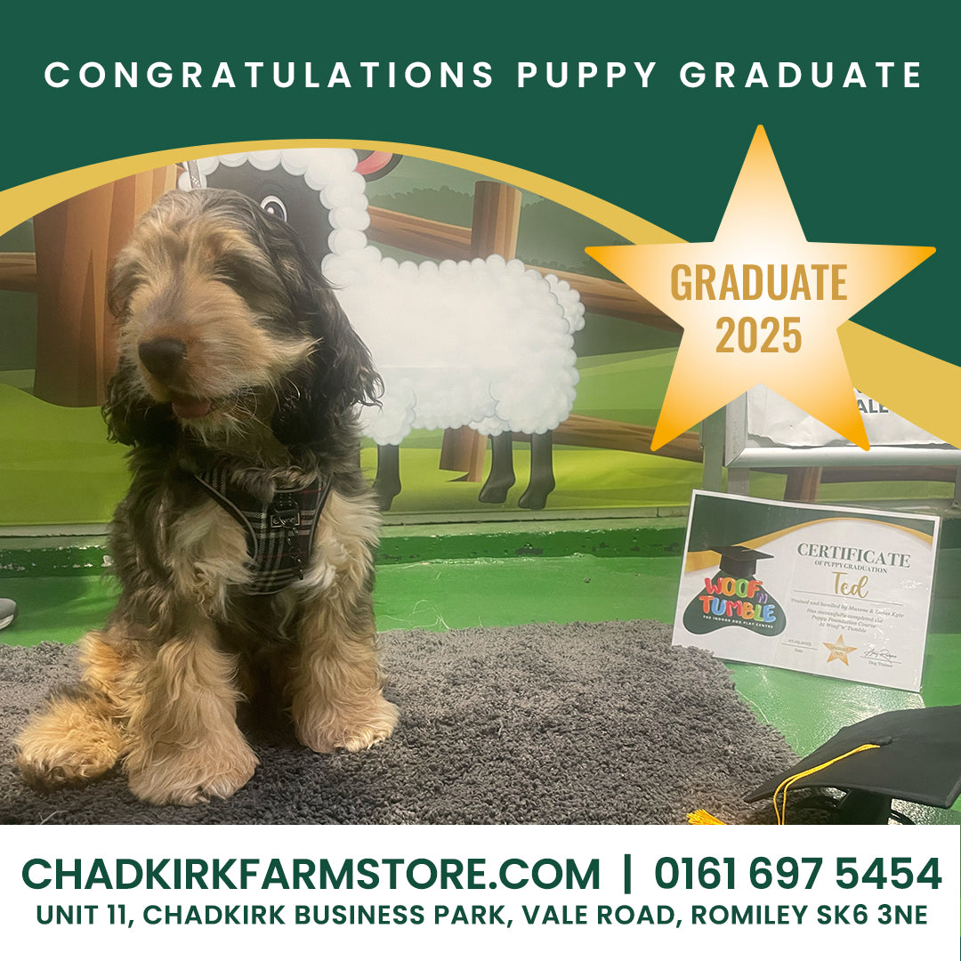 Puppy Training 5 Week Course