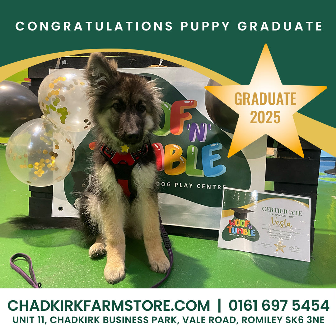 Puppy Training 5 Week Course