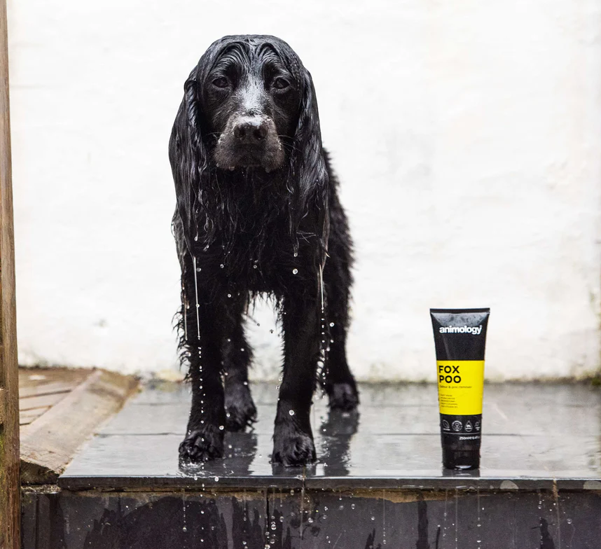 Animology Fox Poo Dog Shampoo