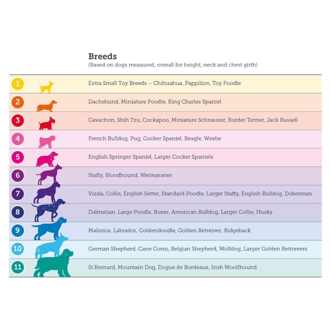 Doodlebone Originals Harness Orange - Size XL