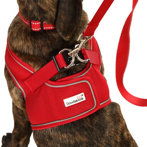 Doodlebone Snappy Harness Pink Stripe - Size 1-2
