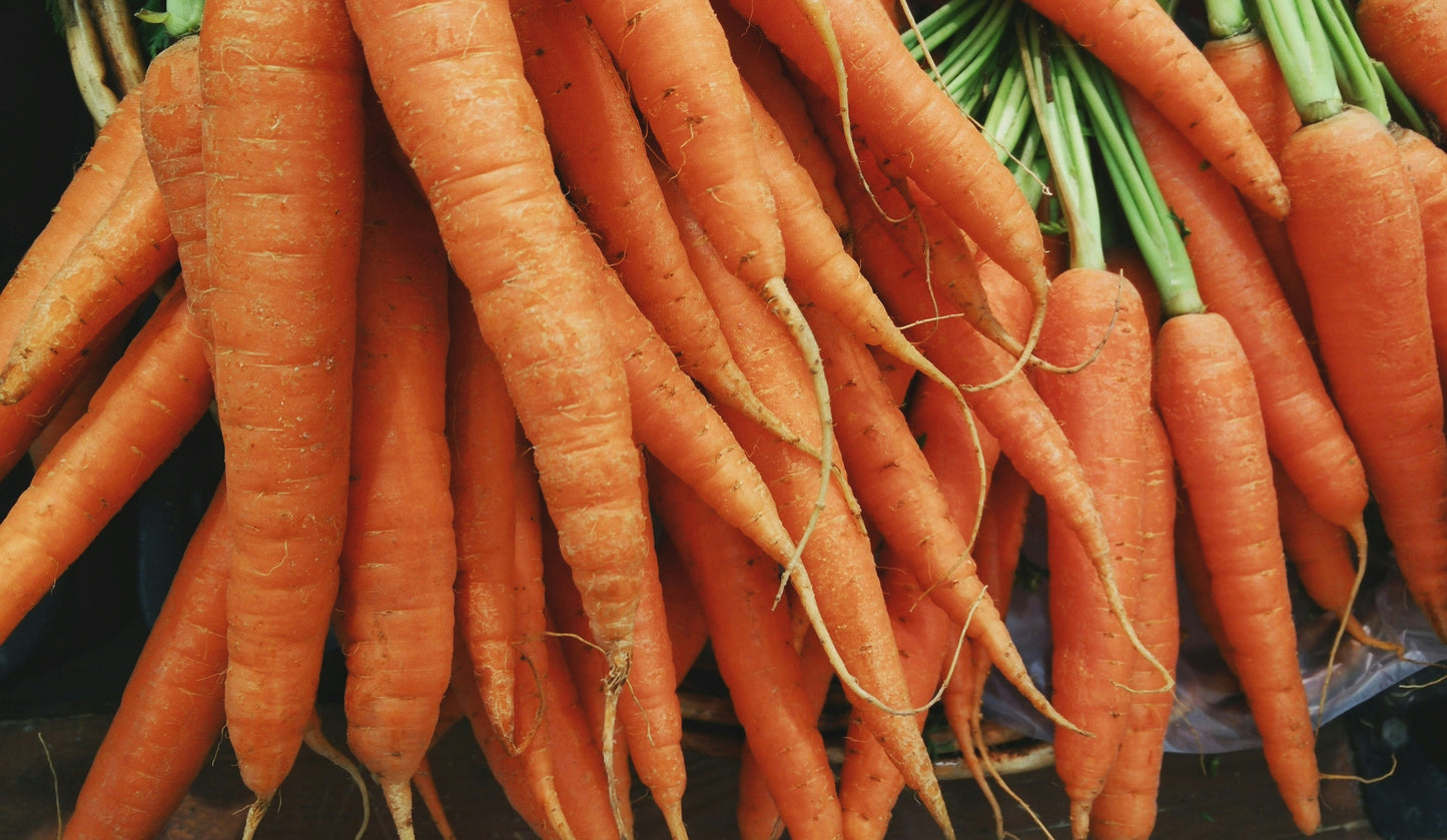 Chadkirk's Own (2kg) Adult Grain Free Angus Beef with Sweet Potato and Carrot