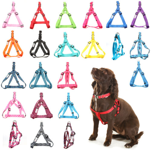 Doodlebone Pattern Bold Harness Charcoal Camo - Size 8-11