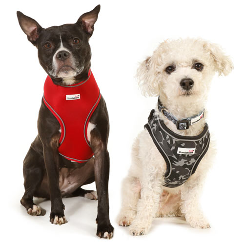 Doodlebone Snappy Harness Pink Stripe - Size 1-2