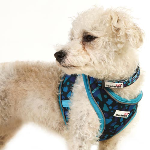 Doodlebone Snappy Harness Pink Stripe - Size 1-2