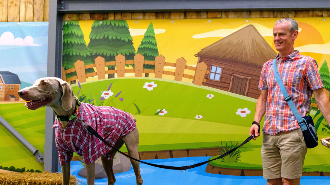 Doggy Event: Doggy Hoedown Pawty