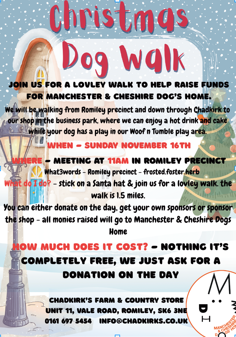 Christmas Charity Dog Walk