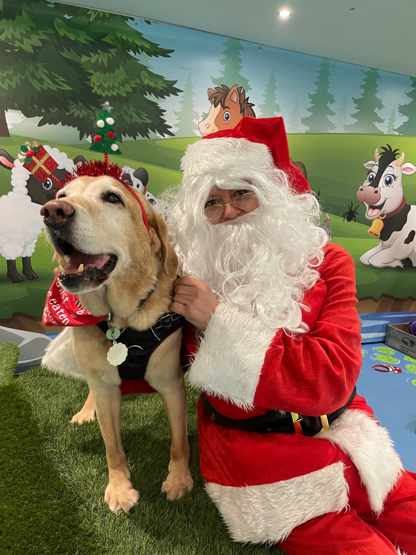 Woof n Tumble Christmas Pawty - Sunday 30th November