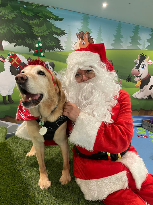 Woof n Tumble Christmas Pawty - Sunday 30th November