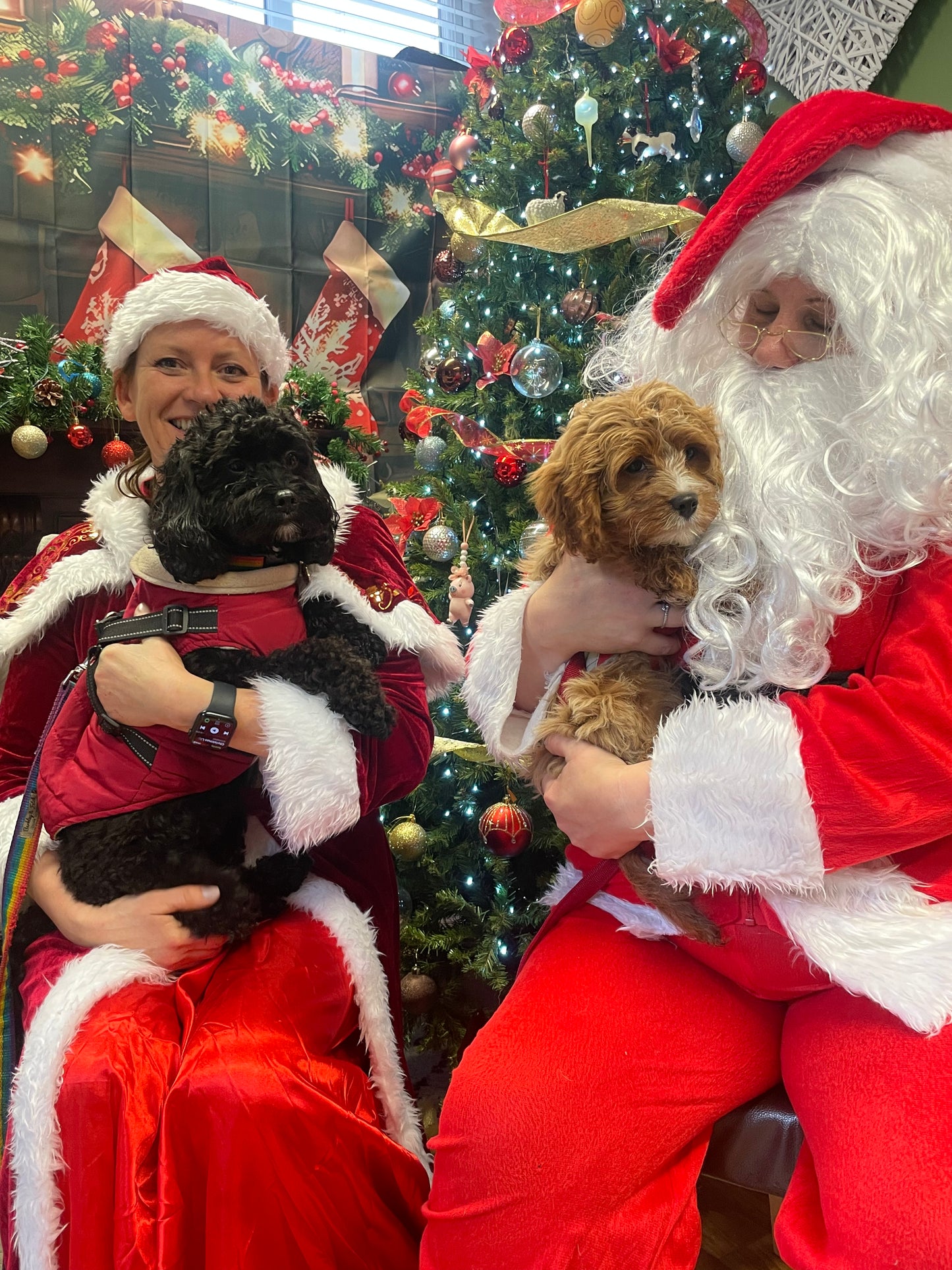 Woof n Tumble Christmas Pawty - Sunday 30th November