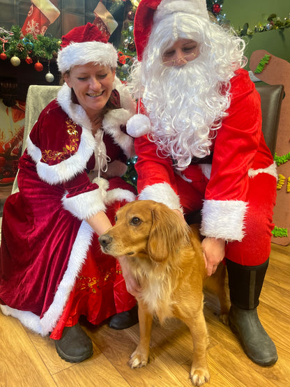 Woof n Tumble Christmas Pawty - Sunday 30th November