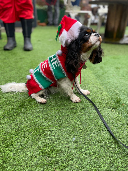 Woof n Tumble Christmas Pawty - Sunday 30th November