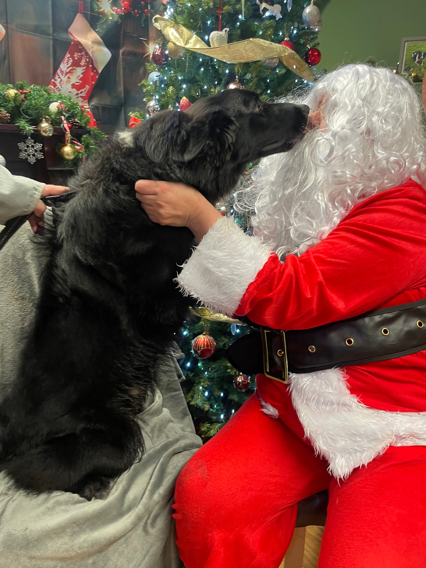 Woof n Tumble Christmas Pawty - Sunday 30th November