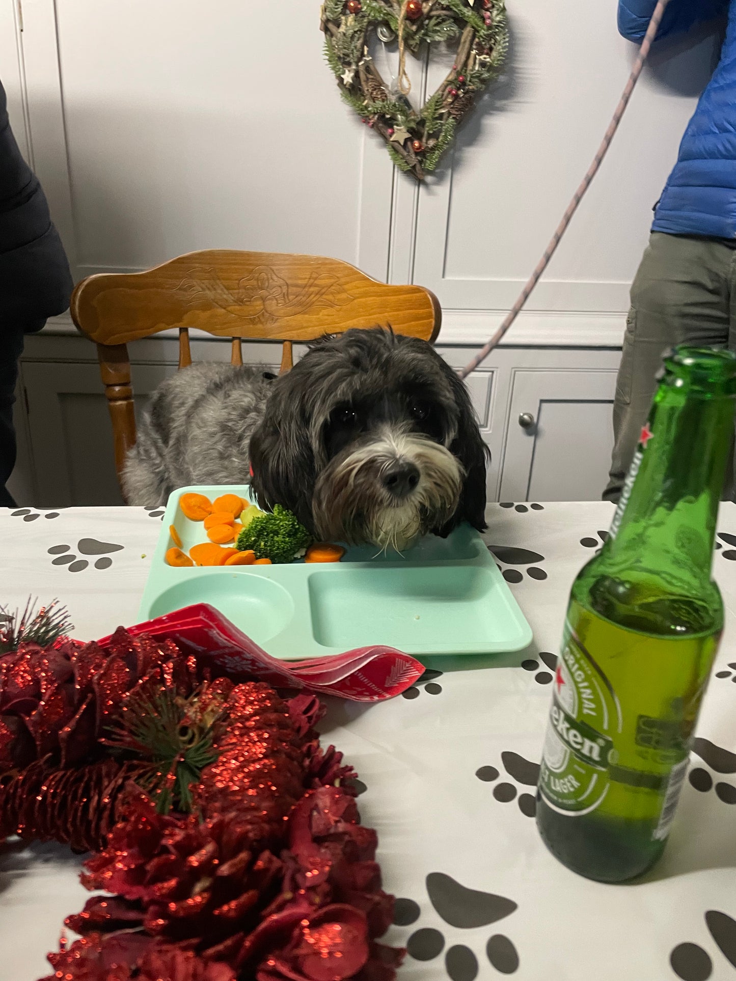 Christmas Dinner with Santa Paws Experience