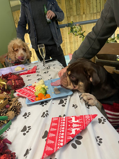 Christmas Dinner with Santa Paws Experience
