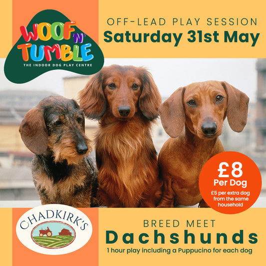 Breed Play for Dachshunds! (Saturday 31 May 1-2pm)