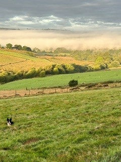 Dog Club Fun Day - Sunday 30th August 2026