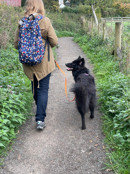 4XPaws Adventure: Puppy & Cake Walk 🍰 Saturday 13th December