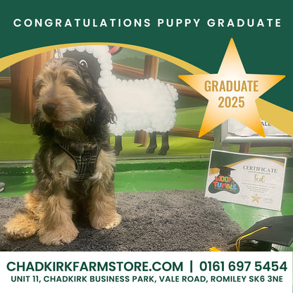 Puppy Training 5 Week Course