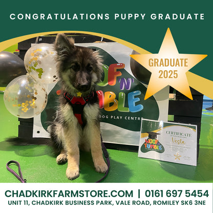 Puppy Training 5 Week Course