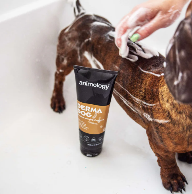 Animology Derma Dog Sensitive Skin Dog Shampoo