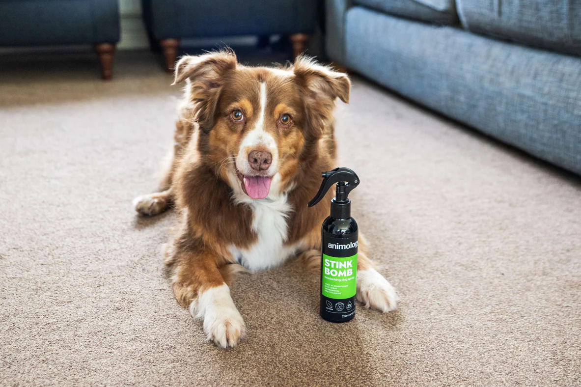 Animology Stink Bomb Dog Deodorising Spray