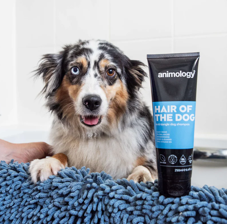 Animology Hair of the Dog Anti-Tangle Dog Shampoo