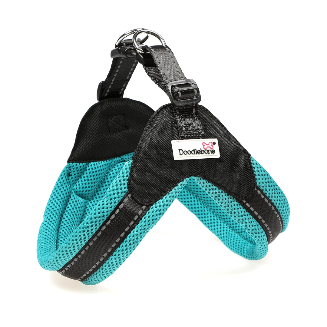 Doodlebone Boomerang Harness Cyan - Size S