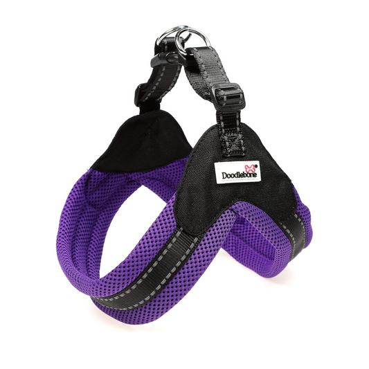 Doodlebone Boomerang Harness Purple - Size 4-5