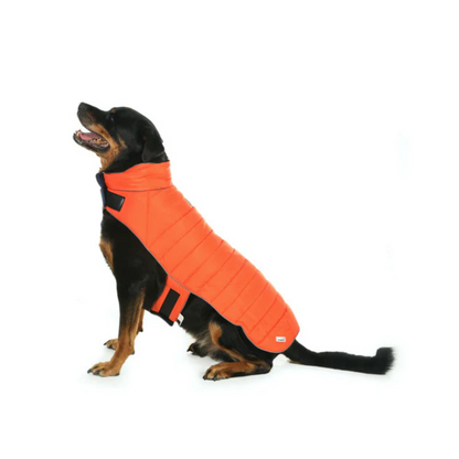 Doodlebone Reversible Puffer Dog Jacket Tangerine/Ocean - Size 7-10