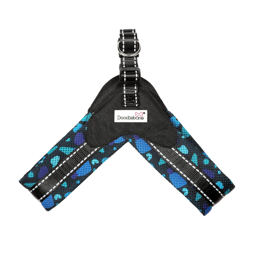 Doodlebone Boomerang Harness Cyan Confetti - Size 4-5