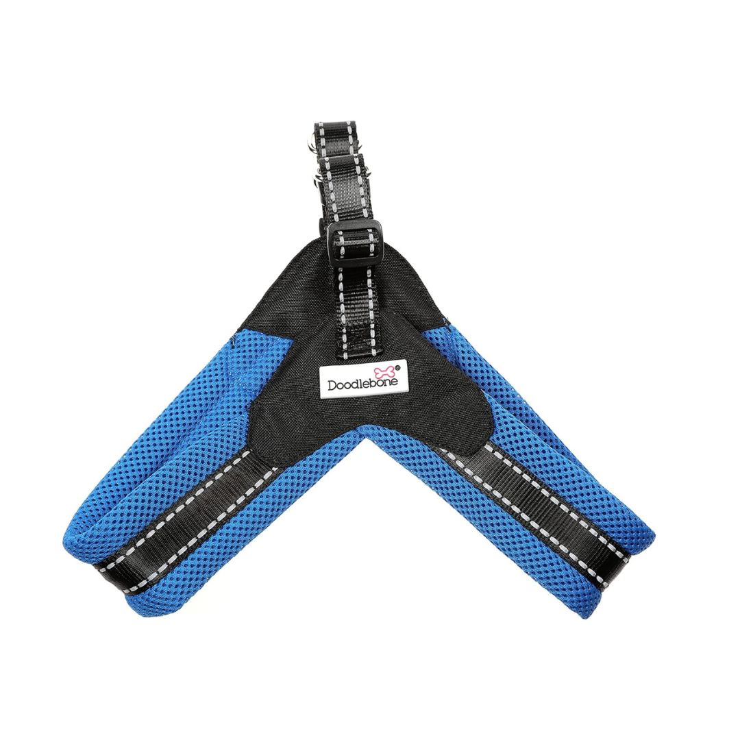 Doodlebone Boomerang Harness Blue - Size 8-10