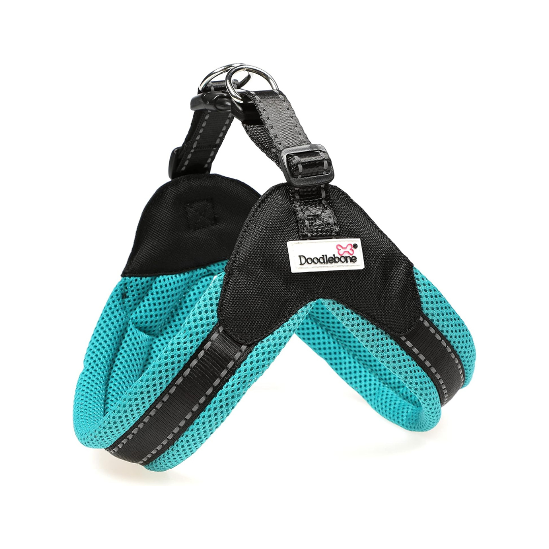 Doodlebone Boomerang Harness Cyan - Size 6-7