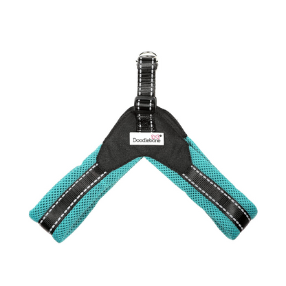 Doodlebone Boomerang Harness Cyan - Size 6-7