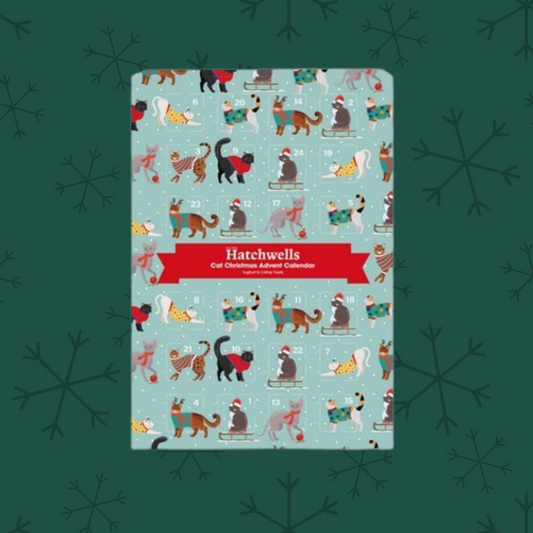 Hatchwells Dog Chocolate Advent Calendar