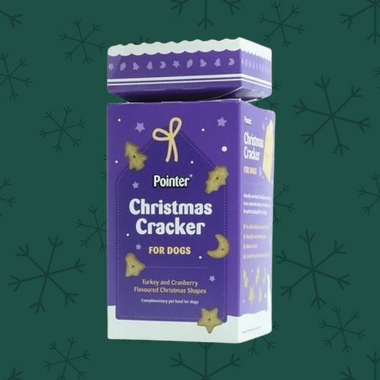 Pointer Christmas Cracker for Dogs