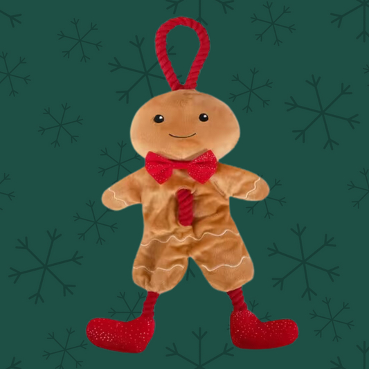 Cupid & Comet George The Gingerbread Christmas Dog Rope Toy